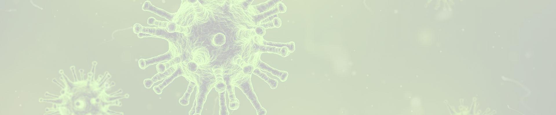 Coronavirus Banner