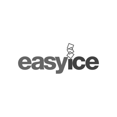 Easy Ice Logo