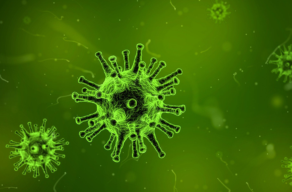 Microscopic view of viruses