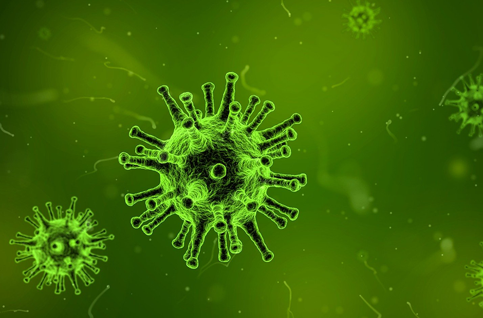 Microscopic view of virus