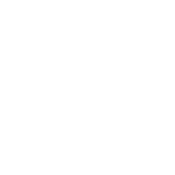 Badge Icon